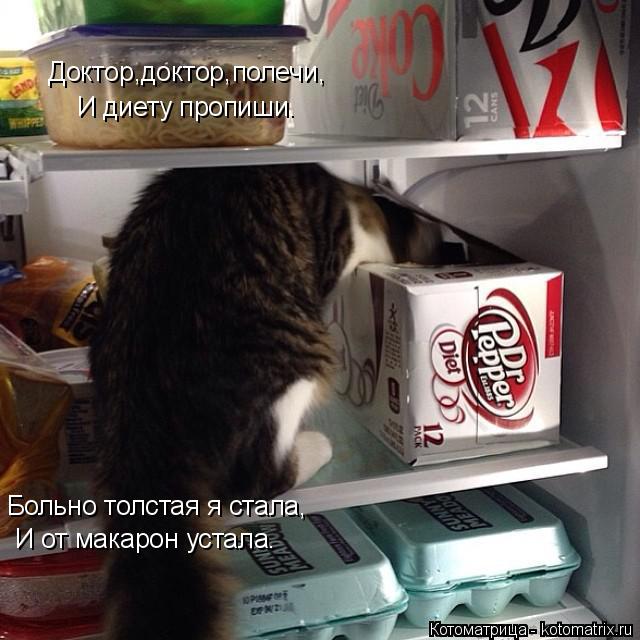 Доктор,доктор,полечи, И диету пропиши. Больно толстая я стала, И от макарон устала.... Котоматрица: Доктор,доктор,полечи, И диету пропиши. Больно толстая я стала, И от макарон устала.