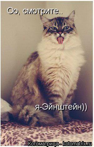 Оо, смотрите.. я-Эйнштейн))... Котоматрица: Оо, смотрите.. я-Эйнштейн))