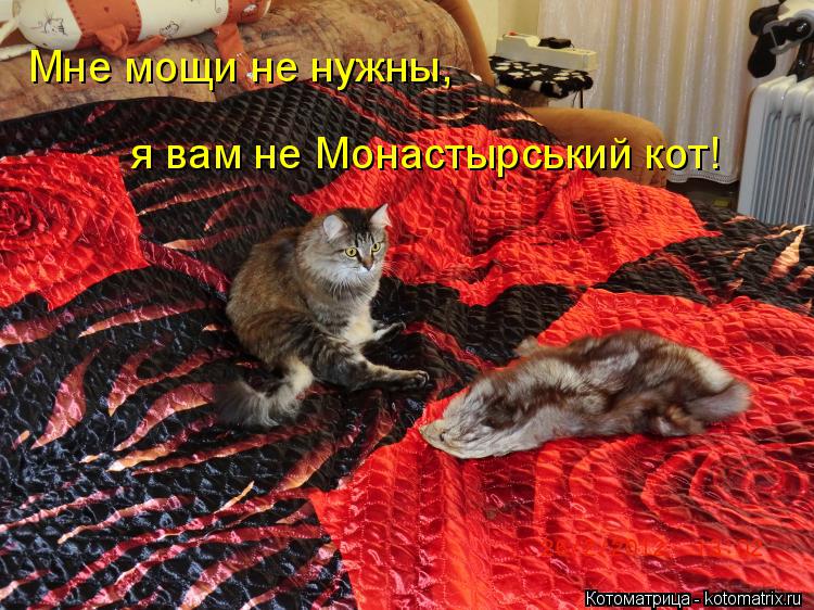 Мне мощи не нужны, я вам не Монастырський кот!... Котоматрица: Мне мощи не нужны, я вам не Монастырський кот!
