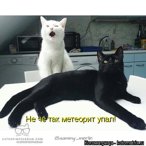 Не чё так метеорит упал!... Котоматрица: Не чё так метеорит упал!