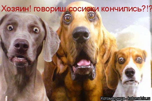 Хозяин! говориш сосиски кончились?!?!... Котоматрица: Хозяин! говориш сосиски кончились?!?!