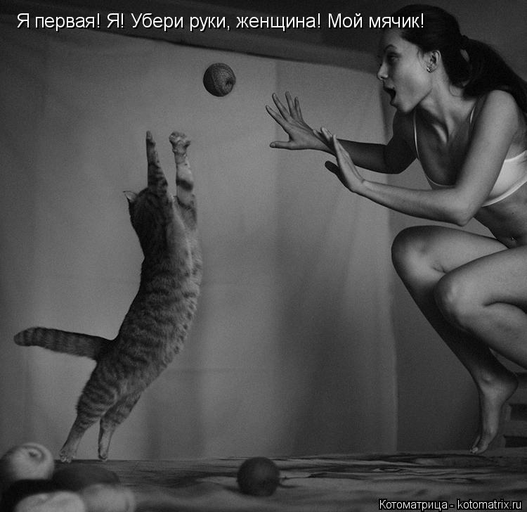 Я первая! Я! Убери руки, женщина! Мой мячик!... Котоматрица: Я первая! Я! Убери руки, женщина! Мой мячик!