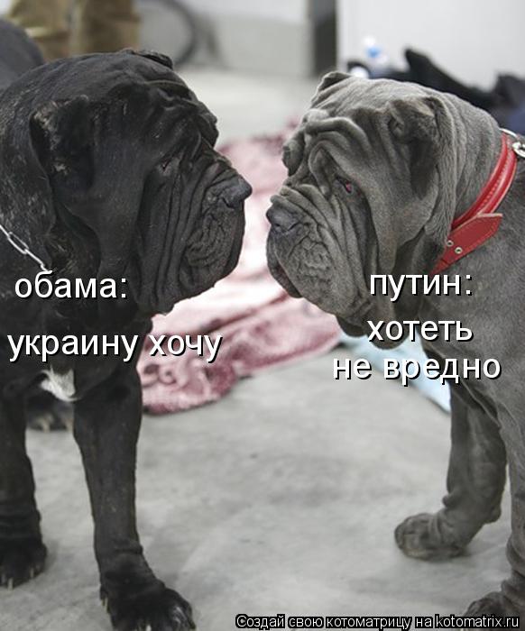 Котоматрица: путин: обама: украину хочу хотеть  не вредно