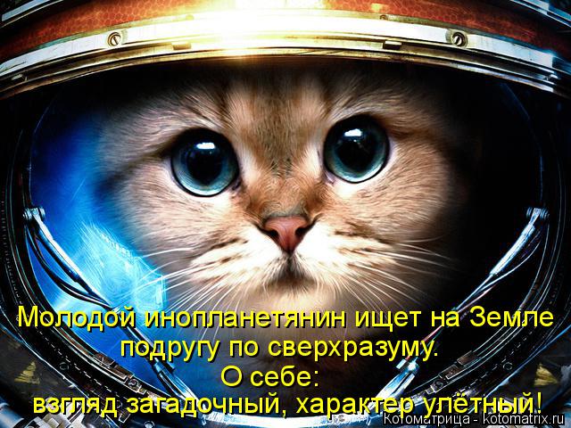 Молодой инопланетянин ищет на Земле подругу по сверхразуму. О себе: взгляд загадочный, характер улёт... Котоматрица: Молодой инопланетянин ищет на Земле подругу по сверхразуму. О себе: взгляд загадочный, характер улётный!