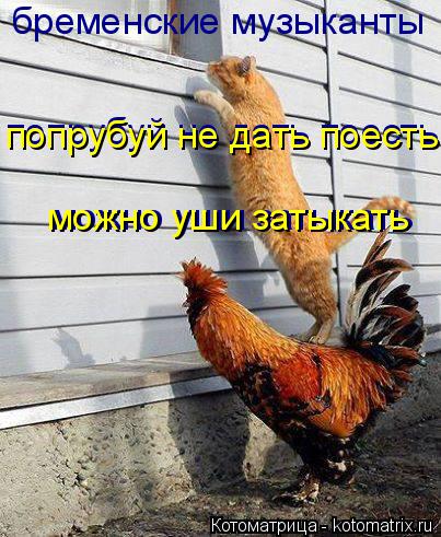бременские музыканты попрубуй не дать поесть попрубуй не дать поесть можно уши затыкать можно уши зат... Котоматрица: бременские музыканты попрубуй не дать поесть попрубуй не дать поесть можно уши затыкать можно уши затыкать