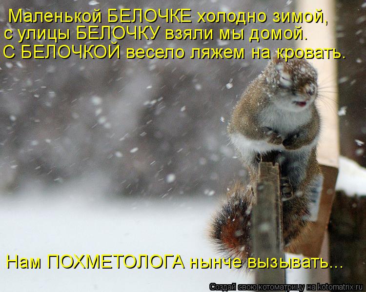 Котоматрица: Маленькой БЕЛОЧКЕ холодно зимой, с улицы БЕЛОЧКУ взяли мы домой. С БЕЛОЧКОЙ весело ляжем на кровать. Нам ПОХМЕТОЛОГА нынче вызывать...