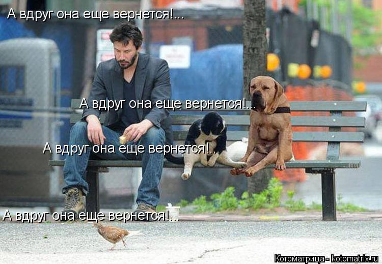 Котоматрица: А вдруг она еще вернется!... А вдруг она еще вернется!... А вдруг она еще вернется!... А вдруг она еще вернется!...