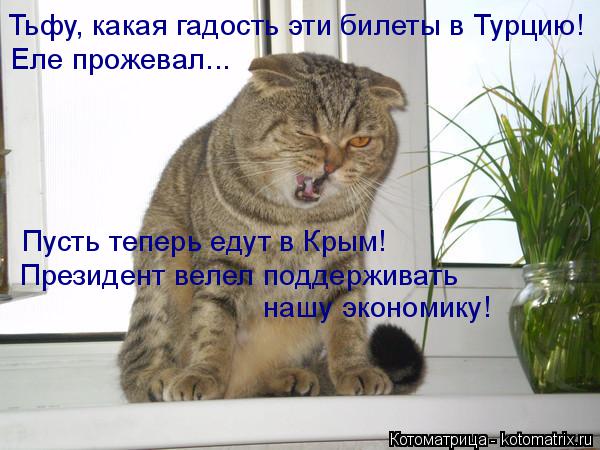 Котоматрица: Тьфу, какая гадость эти билеты в Турцию! Еле прожевал... Пусть теперь едут в Крым! Президент велел поддерживать нашу экономику!