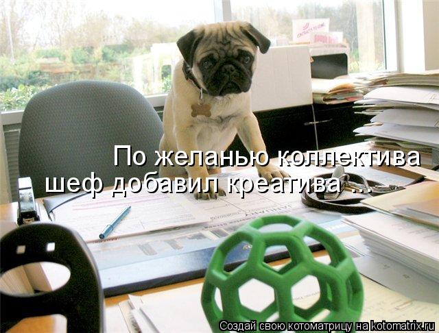 Котоматрица: По желанью коллектива шеф добавил креатива ...