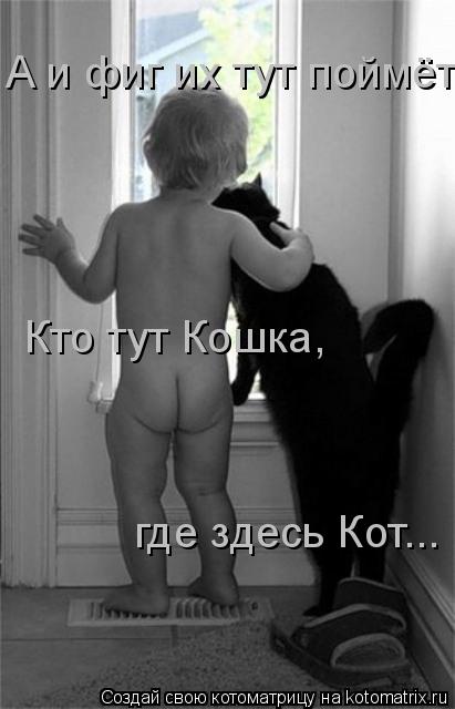 Котоматрица: А и фиг их тут поймёт Кто тут Кошка, где здесь Кот...