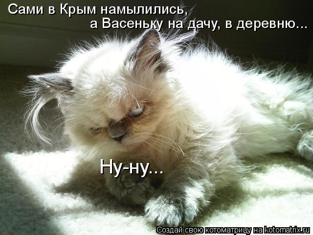 Сами в Крым намылились, а Васеньку на дачу, в деревню... Ну-ну...... Котоматрица: Сами в Крым намылились, а Васеньку на дачу, в деревню... Ну-ну...