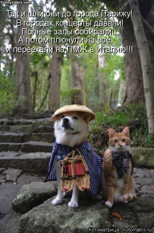 Котоматрица: Так и шли они до города Парижу! В городах концерты давали! Полные залы собирали! А потом плюнули на все, и переехали на ПМЖ в Италию!!!