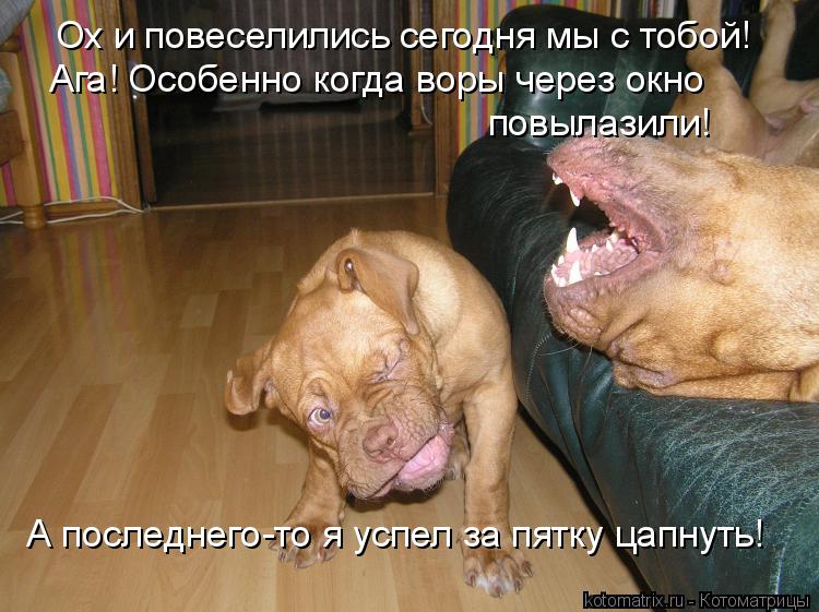 Котоматрица: Ох и повеселились сегодня мы с тобой! Ага! Особенно когда воры через окно  повылазили! А последнего-то я успел за пятку цапнуть!