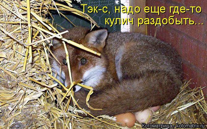 Тэк-с, надо еще где-то кулич раздобыть...... Котоматрица: Тэк-с, надо еще где-то кулич раздобыть...
