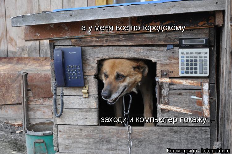 Котоматрица: заходи и компьютер покажу... а у меня все по городскому....