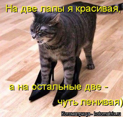 Котоматрица: На две лапы я красивая,  а на остальные две -   чуть ленивая-   чуть ленивая)