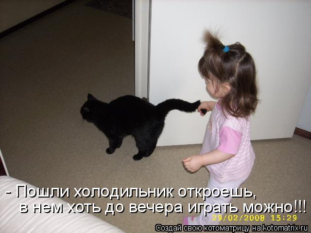Котоматрица: - Пошли холодильник откроешь, в нем хоть до вечера играть можно!!!