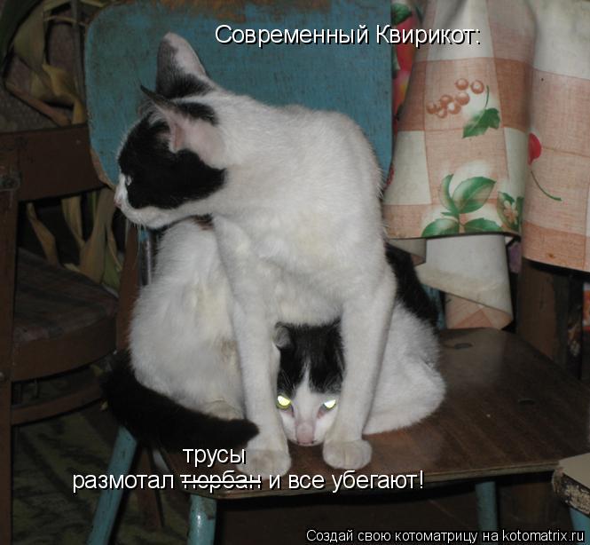 Котоматрица: Современный Квирикот: размотал тюрбан и все убегают! ______ трусы