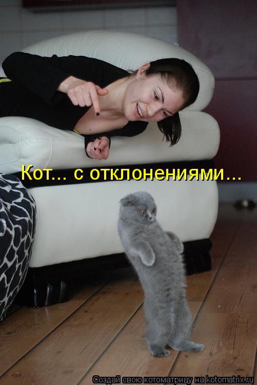 Котоматрица: Кот... с отклонениями...