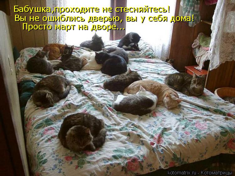 Бабушка,проходите не стесняйтесь! Вы не ошиблись дверью, вы у себя дома! Просто март на дворе...... Котоматрица: Бабушка,проходите не стесняйтесь! Вы не ошиблись дверью, вы у себя дома! Просто март на дворе...
