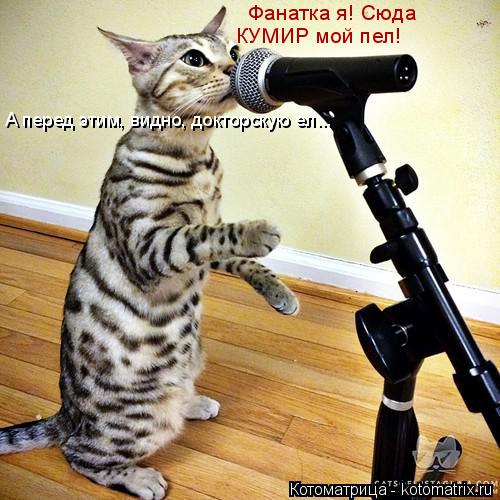 Фанатка я! Сюда КУМИР мой пел! А перед этим, видно, докторскую ел...... Котоматрица: Фанатка я! Сюда КУМИР мой пел! А перед этим, видно, докторскую ел...