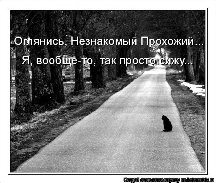 Котоматрица: Оглянись, Незнакомый Прохожий... Я, вообще-то, так просто сижу...