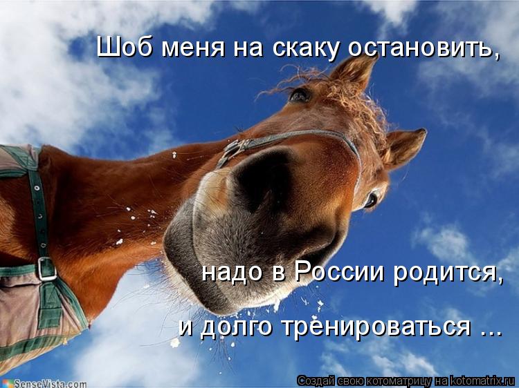 Шоб меня на скаку остановить, надо в России родится, и долго тренироваться ...... Котоматрица: Шоб меня на скаку остановить, надо в России родится, и долго тренироваться ...