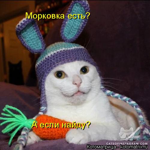Морковка есть? А если найду?... Котоматрица: Морковка есть? А если найду?