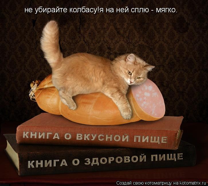 Котоматрица: не убирайте колбасу!я на ней сплю - мягко.