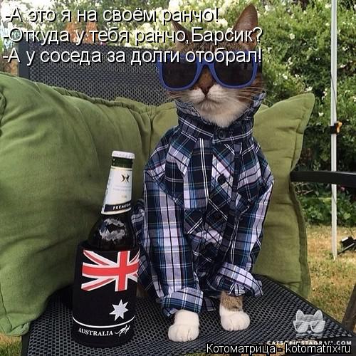 Котоматрица: -А это я на своём ранчо! -Откуда у тебя ранчо,Барсик? -А у соседа за долги отобрал!