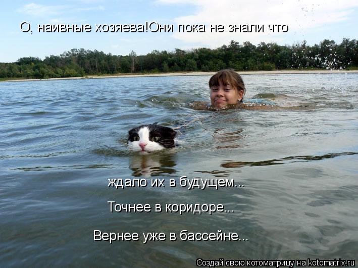 Котоматрица: О, наивные хозяева!Они пока не знали что  ждало их в будущем... Точнее в коридоре... Вернее уже в бассейне...