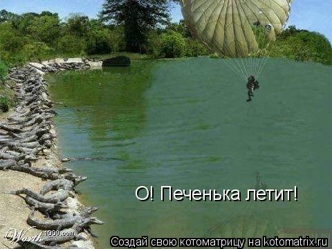 О! Печенька летит!... Котоматрица: О! Печенька летит!