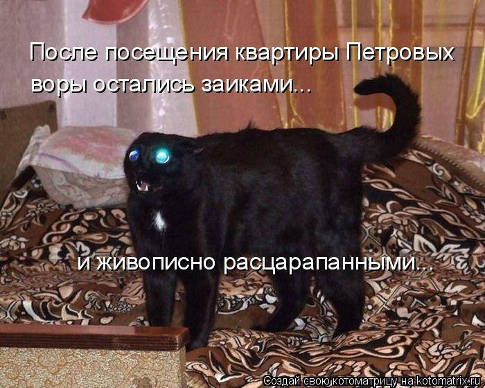 воры остались заиками... После посещения квартиры Петровых и живописно расцарапанными...... Котоматрица: воры остались заиками... После посещения квартиры Петровых и живописно расцарапанными...