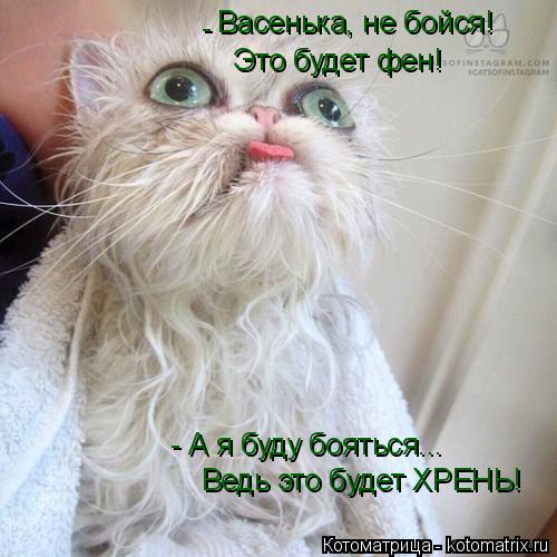 Васенька, не бойся! Это будет фен! - - А я буду бояться... Ведь это будет ХРЕНЬ!... Котоматрица: Васенька, не бойся! Это будет фен! - - А я буду бояться... Ведь это будет ХРЕНЬ!