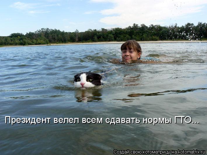 Котоматрица: Президент велел всем сдавать нормы ГТО...