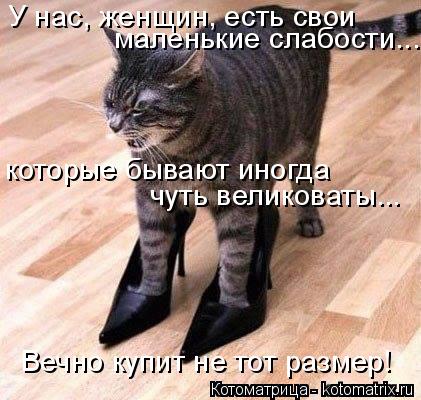 Котоматрица: У нас, женщин, есть свои  маленькие слабости... которые бывают иногда чуть великоваты... Вечно купит не тот размер!