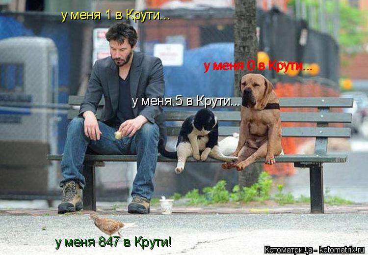 Котоматрица: у меня 847 в Крути! у меня 1 в Крути... у меня 5 в Крути... у меня 0 в Крути... у меня 0 в Крути...