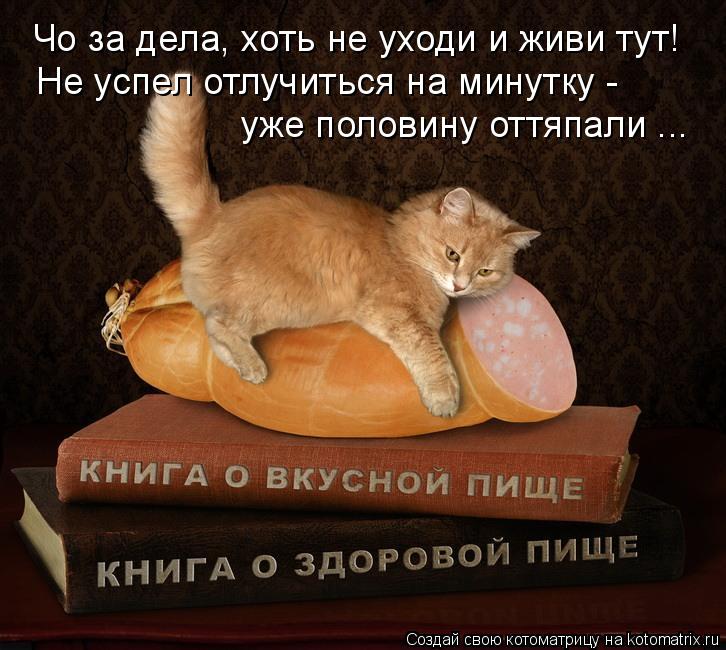 Котоматрица: Чо за дела, хоть не уходи и живи тут! Не успел отлучиться на минутку -  уже половину оттяпали ...