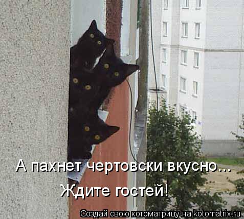 А пахнет чертовски вкусно... Ждите гостей!... Котоматрица: А пахнет чертовски вкусно... Ждите гостей!