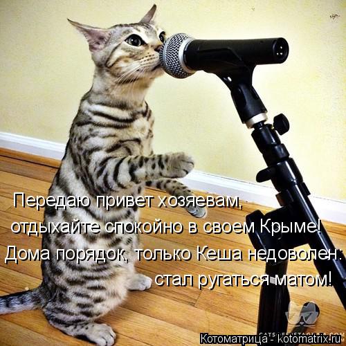 Котоматрица: Передаю привет хозяевам,  отдыхайте спокойно в своем Крыме! Дома порядок, только Кеша недоволен: стал ругаться матом!