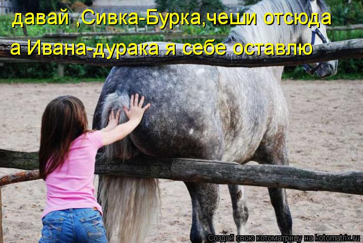 давай ,Сивка-Бурка,чеши отсюда а Ивана-дурака я себе оставлю... Котоматрица: давай ,Сивка-Бурка,чеши отсюда а Ивана-дурака я себе оставлю