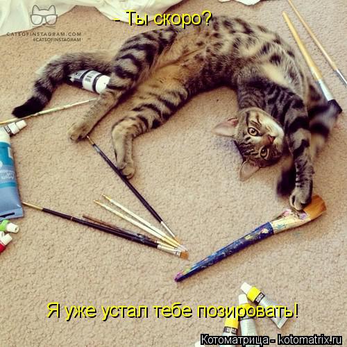 Котоматрица: - Ты скоро? Я уже устал тебе позировать!