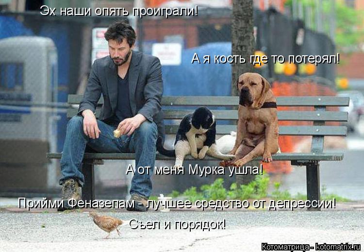 Котоматрица: Эх наши опять проиграли! А от меня Мурка ушла! А я кость где то потерял! Съел и порядок! Прийми Феназепам - лучшее средство от депрессии!
