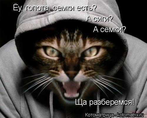 Котоматрица: Ёу, гопота, семки есть? А сиги? А семки? Ща разберемся!