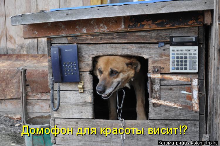 Котоматрица: Домофон для красоты висит!?