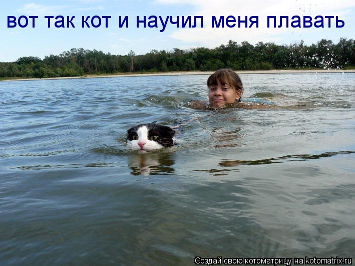 Котоматрица: вот так кот и научил меня плавать