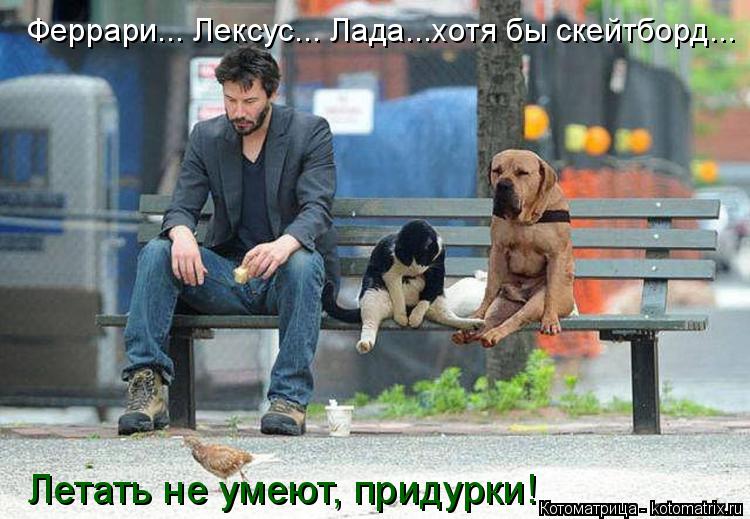 Феррари... Лексус... Лада...хотя бы скейтборд... Летать не умеют, придурки!... Котоматрица: Феррари... Лексус... Лада...хотя бы скейтборд... Летать не умеют, придурки!