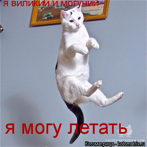 я виликий и могучий я могу летать... Котоматрица: я виликий и могучий я могу летать