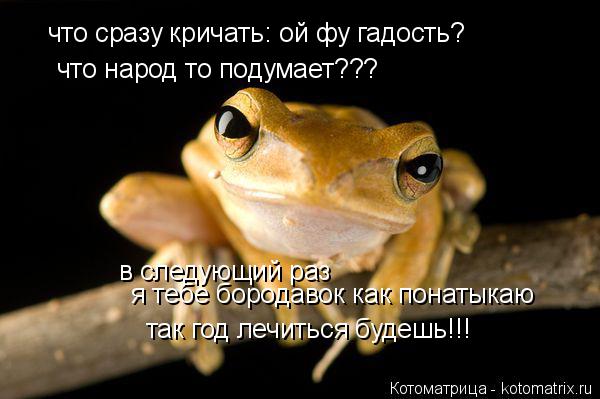 что сразу кричать: ой фу гадость? что народ то подумает??? в следующий раз я тебе бородавок как пона... Котоматрица: что сразу кричать: ой фу гадость? что народ то подумает??? в следующий раз я тебе бородавок как понатыкаю так год лечиться будешь!!!