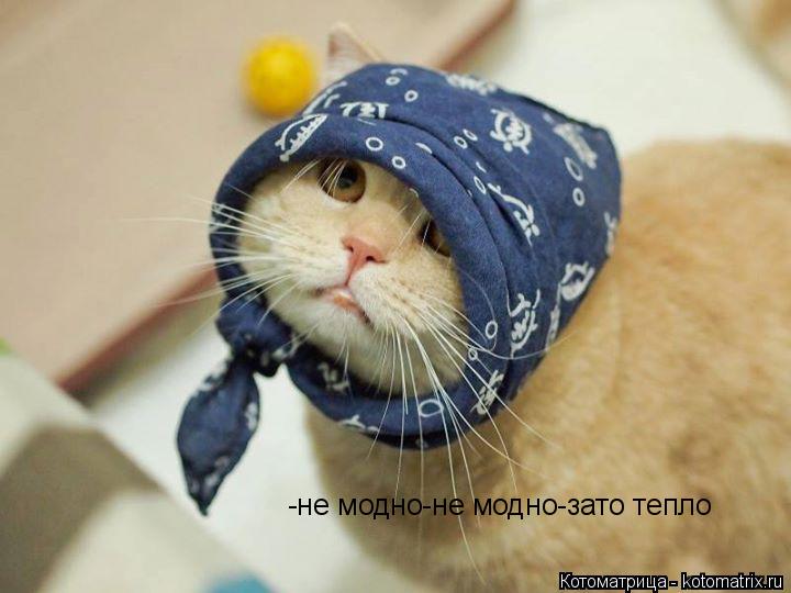 -не модно-не модно-зато тепло... Котоматрица: -не модно-не модно-зато тепло
